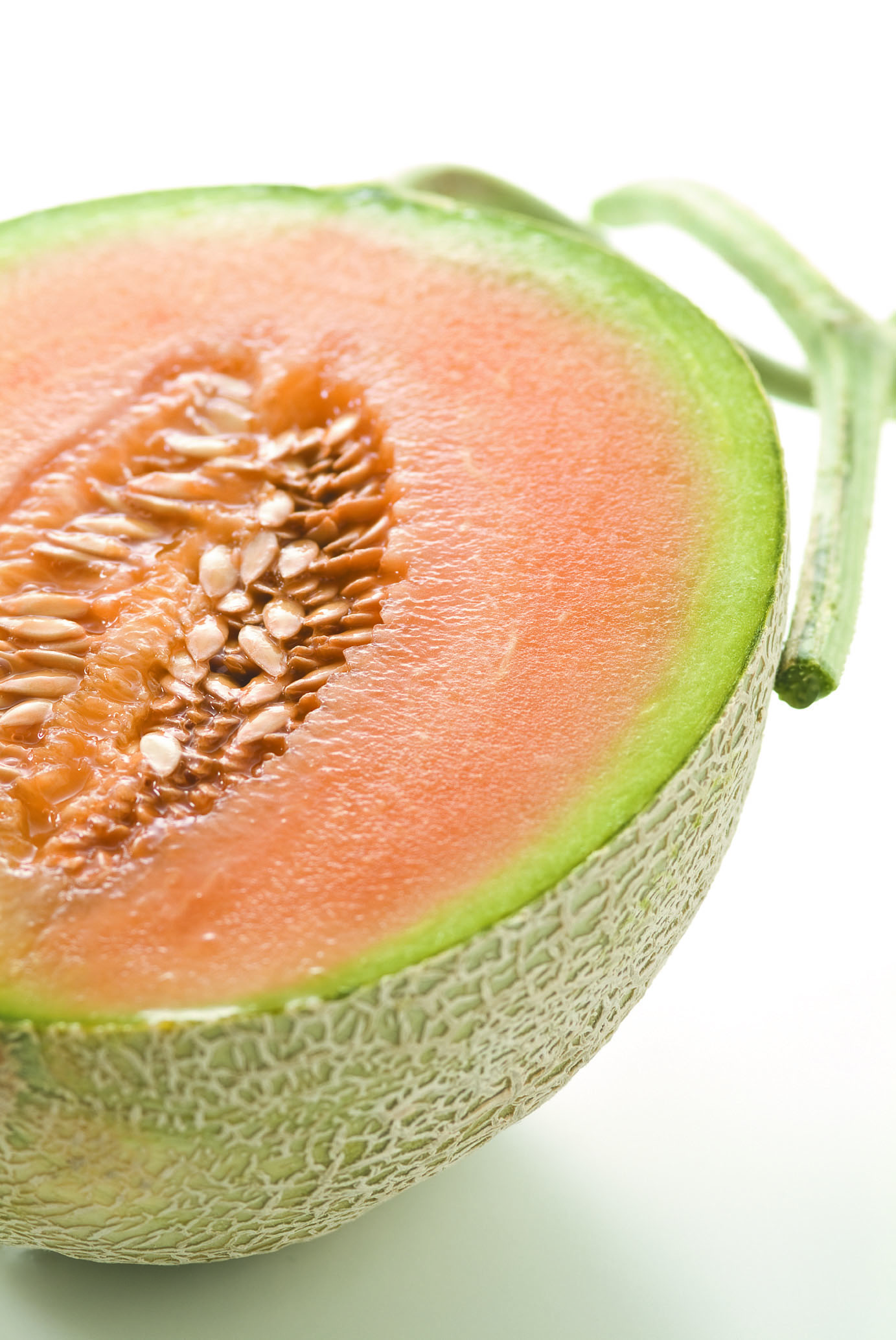 夕張メロン入荷しました 北海道フーディスト